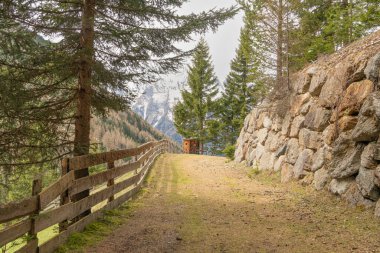 Easy hiking path between green grassy alpine slopes viewing towards pine trees and mountains in Gries, Lngenfeld during early spring time. Besinnungsweg trail in Gries im Sellrain, Lngenfeld. clipart