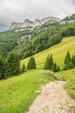 Bulutlu bir yaz gününde Appenzeller dağlarında yürüyüş yolu. Switzeland 'deki Seealpsee' ye giden yol. Çam ağaçlı dağ manzarası İsviçre Alpleri.