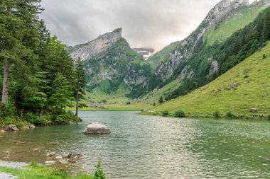 İsviçre Alpleri 'ndeki Seealpsee Gölü' nde güzel bir yaz manzarası bulutlu bir gökyüzü. Harika bir yürüyüş yeri. Yüksek dağları olan Alp Gölü. Çam ağaçları. İsviçre 'deki Appezell Dağları.