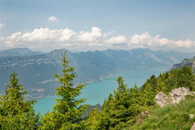 Schynige Platte ve Loucherhorn dağları arasında Brienersee Alp Gölü 'ne doğru uzanan tepe patikasından güzel bir yaz manzarası. Alp ve Brienzersee ile yaz manzarası.