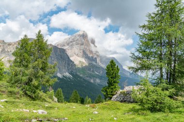 Lago di Limides yakınlarındaki İtalyan Dolomitleri 'nde yaz boyunca arka planda Tofana di Rozes Dağı manzaralı güzel bir yaz manzarası. Cortina d 'Ampezzo' daki Tofana di Rozes Dağı 'nın manzarası.