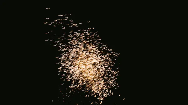 Маленькие Фейерверки Небе — стоковое фото