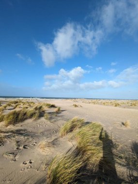 Uçsuz bucaksız bir Hollanda plajı rüzgarlı kumullar ve parlak mavi bir gökyüzünün altında uzun kumsal çimenleri. Yumuşak bulutlar açık kıyı şeridinde sürükleniyor, sakin ve doğal bir manzara yaratıyor. Kumda ayak izleri bir hareket ve sükunet hissi ekler..