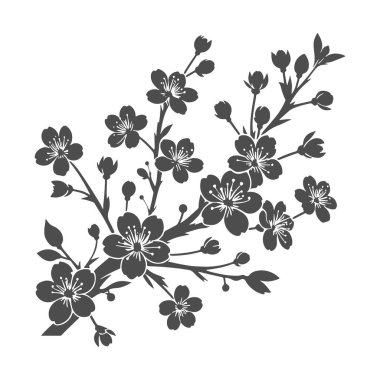 Kiraz çiçekleri dal vektör siluet sanatı. 