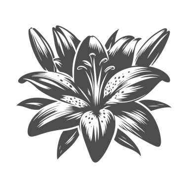 Doğadan esinlenilmiş illüstrasyonlar ve bahçe dekorasyonu için mükemmel bir çiçek silueti.