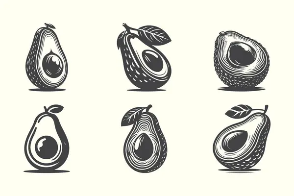 Avokado silueti sağlıklı yiyecek ve tropikal tasarımlar için mükemmel basit ve çok yönlü vektör meyvesi.