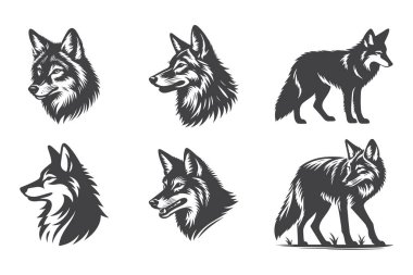 Çakal silueti seti. Vahşi yaşam ve vahşi doğa tasarımları için mükemmel. Güçlü ve uyumlu vektör sanatı.