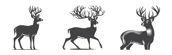 Geyik silueti vektörü vahşi yaşam ve doğa için mükemmel. Zarif ve doğal tasarım..