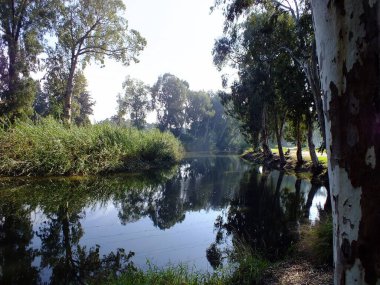 İsrail. Tel Aviv 'de. River ve Park Yarkon 14.03.2015