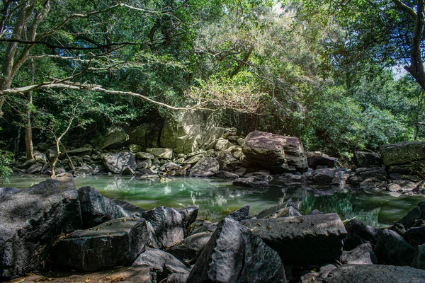 Gyönyörű Vízesés Erdőben — Stock Fotó