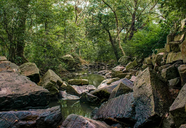 Floresta Verde Cachoeira Rio Parque Selva — Fotografia de Stock