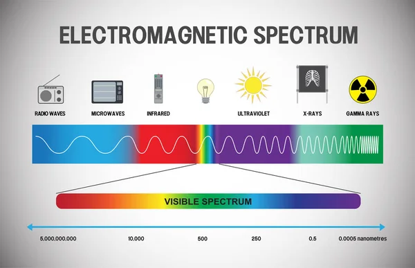 Illustration Electromagnetic Spectrum Infographic — Stock Vector