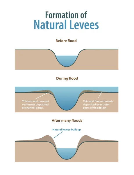 Formation Natural Levees Infographic — Stock Vector