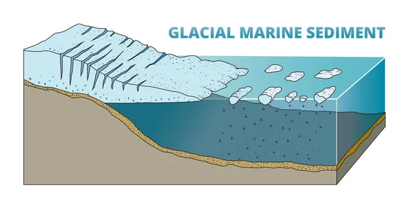 Illustratie Van Gletsjersediment Diagram — Stockvector