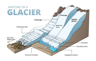 Buzul kesiti diyagramının çizimi