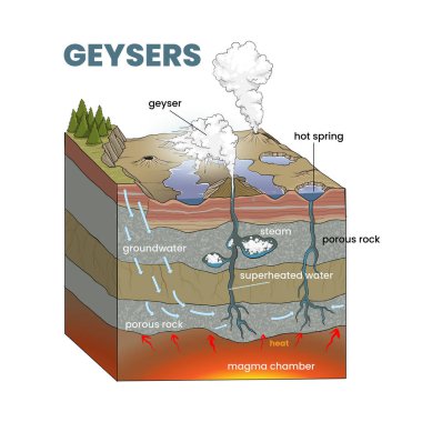 Gayzer diyagramının gösterimi