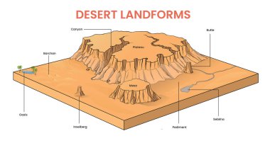 Çöl şekilleri diyagramının kesit çizimi
