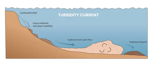 stock vector illustration of turbidity current diagram