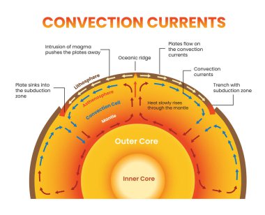 Illustration of convection currents diagram clipart