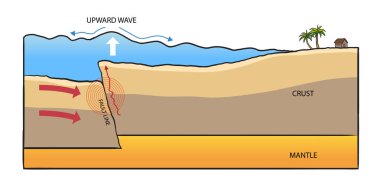 Basit tsunami diyagramının gösterimi