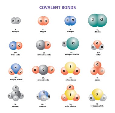 Covalent Bonds Örnekleri ve Bileşikleri çizimi