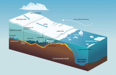 Antarktika Buz Rafları Eritme Süreci diyagramının çizimi