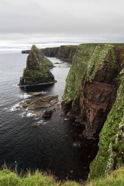 Duncansby Stacks 'ı çevreleyen uçurumlar, İskoçya' nın kuzey kıyısındaki John o 'Groats yakınlarında yer alıyor..