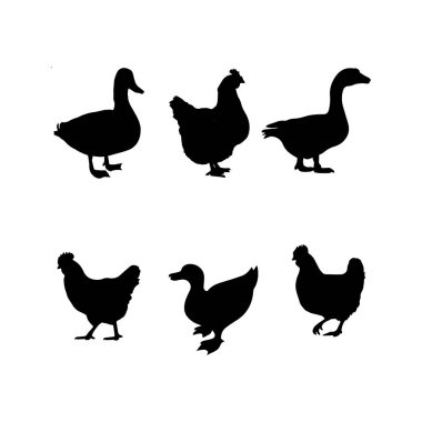 El çizimi ördek silueti çizimi