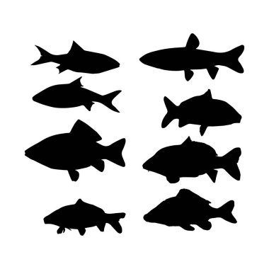 Balıklar siyah ve beyaz siluetler halinde deniz hayvanları.