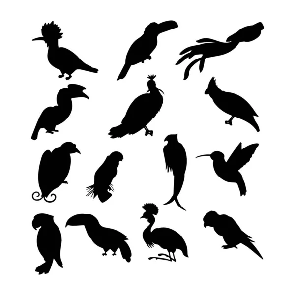 Набір Силуетів Птахів — стоковий вектор