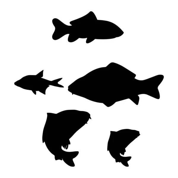 Рыба Черно Белые Силуэты Набор Морских Животных — стоковый вектор