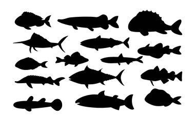 Beyaz arkaplanda balık karakterleri ve siluet kümesi