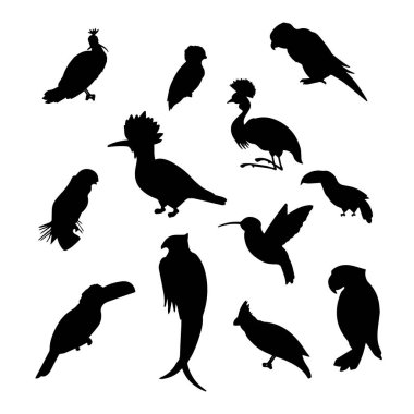 kuş silhouettes kümesi