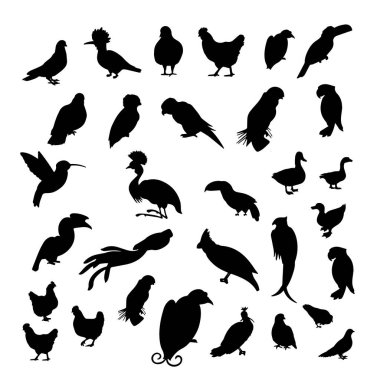 kuş silhouettes kümesi