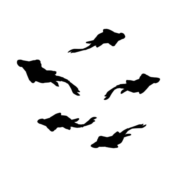 白色背景下的一组鱼类特征和轮廓 — 图库矢量图片