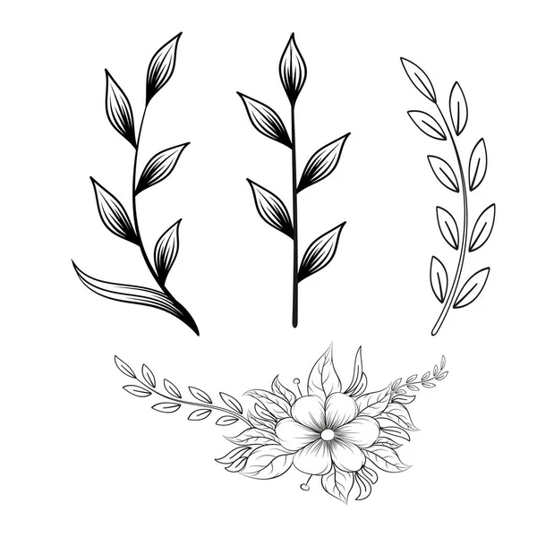 Dibujar Mano Elementos Decoración Floral — Vector de stock