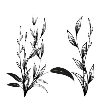 El Çizimi Çiçek Dekorasyonu Elementleri