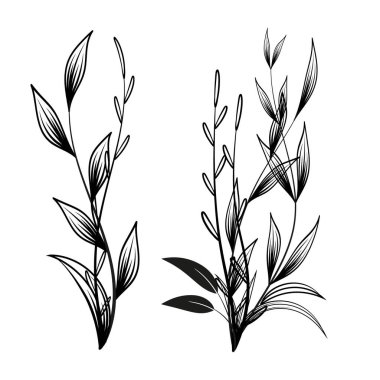 El Çizimi Çiçek Dekorasyonu Elementleri