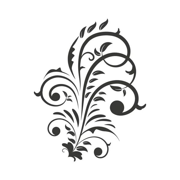 Handtekening Floral Decoratie Elementen — Stockvector
