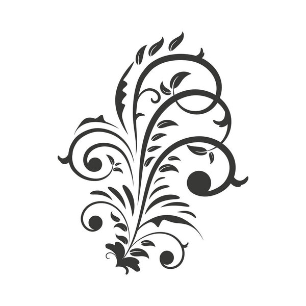 Hand draw floral decoration elements