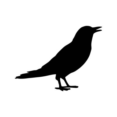 Vektör siluet kuzgunlar kuş anahatları