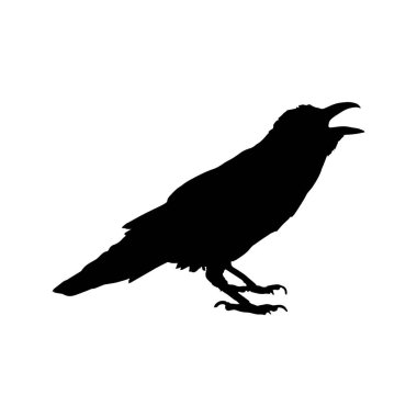 Vektör siluet kuzgunlar kuş anahatları