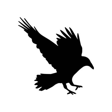 Vektör siluet kuzgunlar kuş anahatları