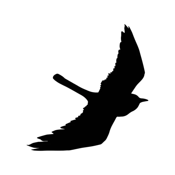 Vector Silueta Cuervos Pájaros Outlinesxa — Archivo Imágenes Vectoriales