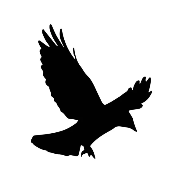Corvos Silhueta Vetorial Aves Outlinesxa — Vetor de Stock