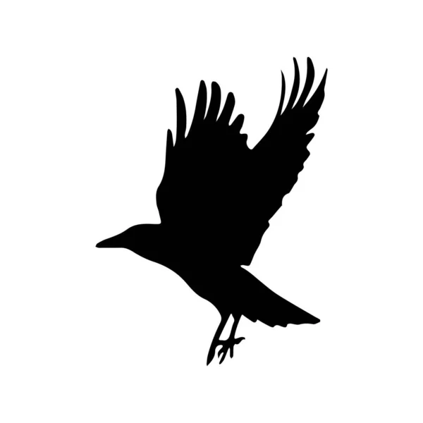 Vector Silueta Cuervos Pájaros Outlinesxa — Vector de stock
