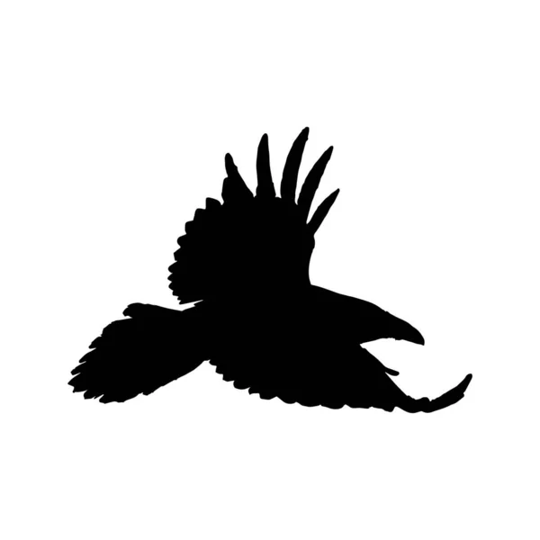 Vektor Silhouette Raben Vögel Outlinesxa — Stockvektor