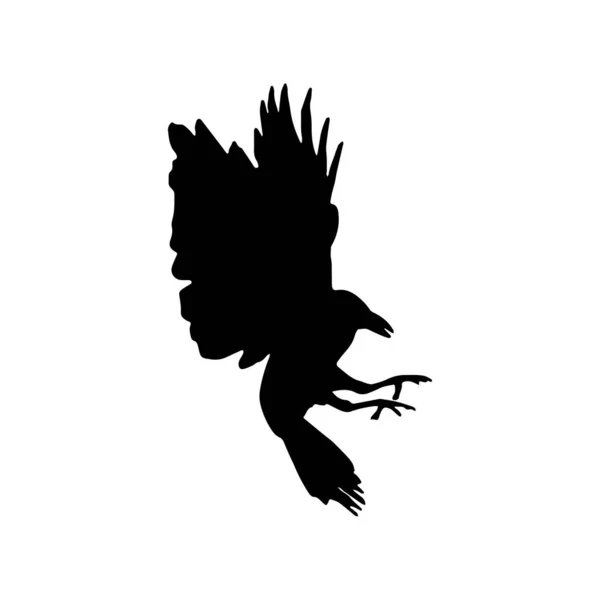 Vector Silhouette Ravens Birds Outlinesxa — Stock Vector
