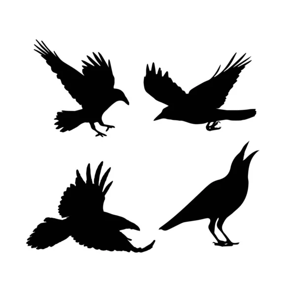 ベクトルシルエットレイブンス鳥Outlinexa — ストックベクタ