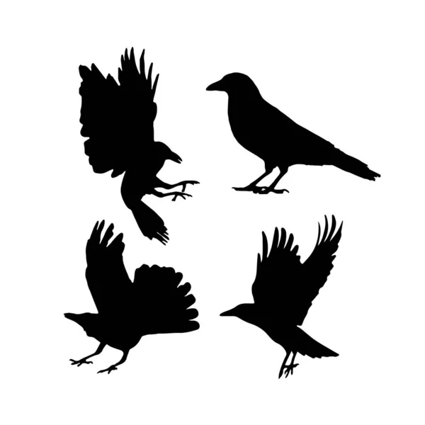 Vector Σιλουέτα Κοράκια Πουλιά Outlinesxa — Διανυσματικό Αρχείο